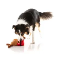 FuzzYard Xmas Toy - Reggie Claus Reindeer L - img 3