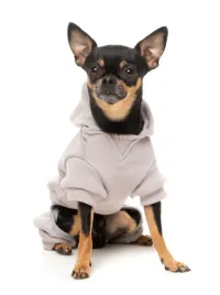 FuzzYard Tracksuit - Urban  - Cool Grey 2 - img 3