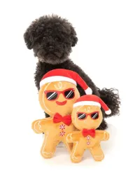FuzzYard Xmas Toy - Merry Milk & Gingerbread 2Pk - img 3