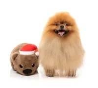 FuzzYard Xmas Toy - Wallace Wombat S - img 5