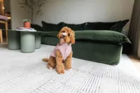 FuzzYard LIFE - Corduroy Jacket - Soft Blush 7 - img 3