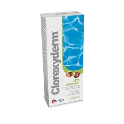 CLOREXYDERM SHAMPOO 4%