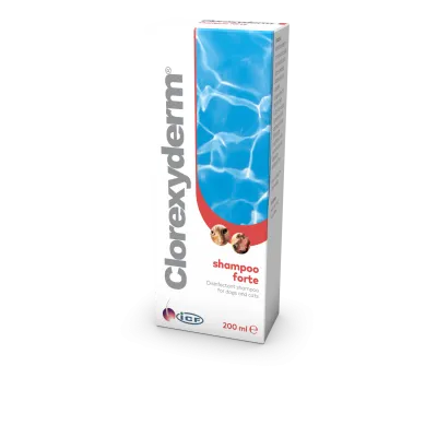 CLOREXYDERM FORTE SHAMPOO