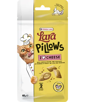 Lara Pillows with Cheese Happy Vibes Treats