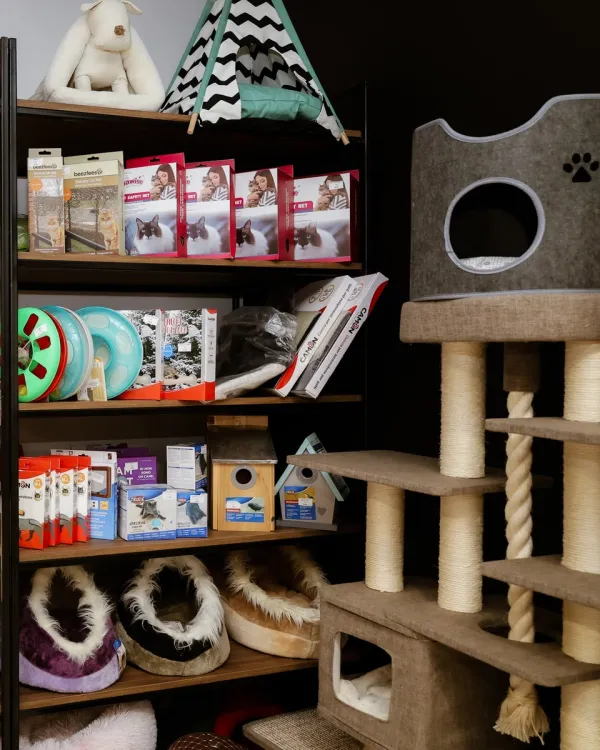 Pet Corner - Image 2