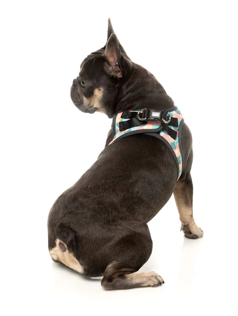 FuzzYard Step In Harness - Carioca XXS - img 5