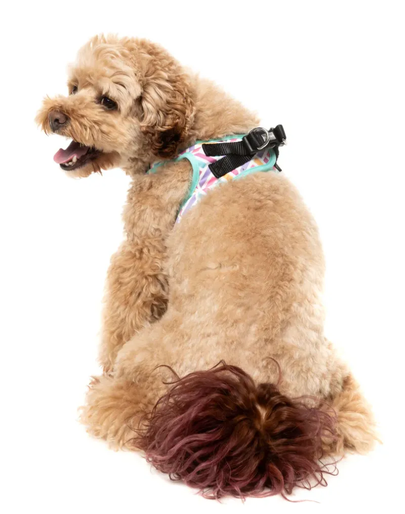 FuzzYard Step In Harness - Bubblegum Burst XXS - img 4