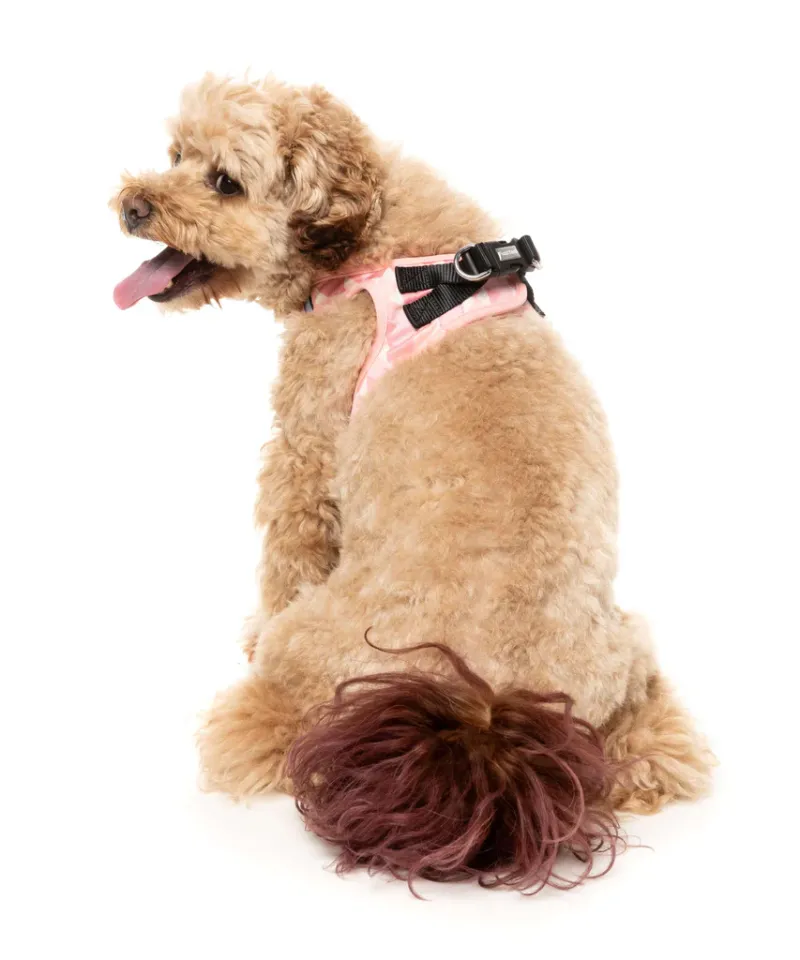 FuzzYard Step In Harness - Pink Lemonade M - img 4