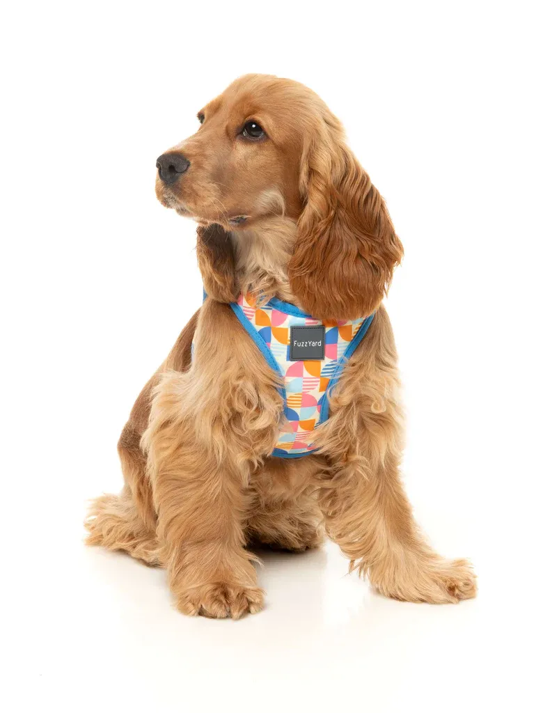 FuzzYard Step In Harness - Fresh Zest XS - img 3