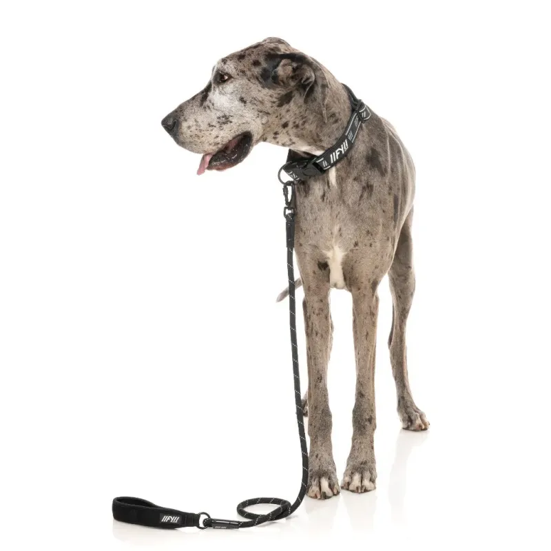 FY Active Rope Lead - Black - img 3