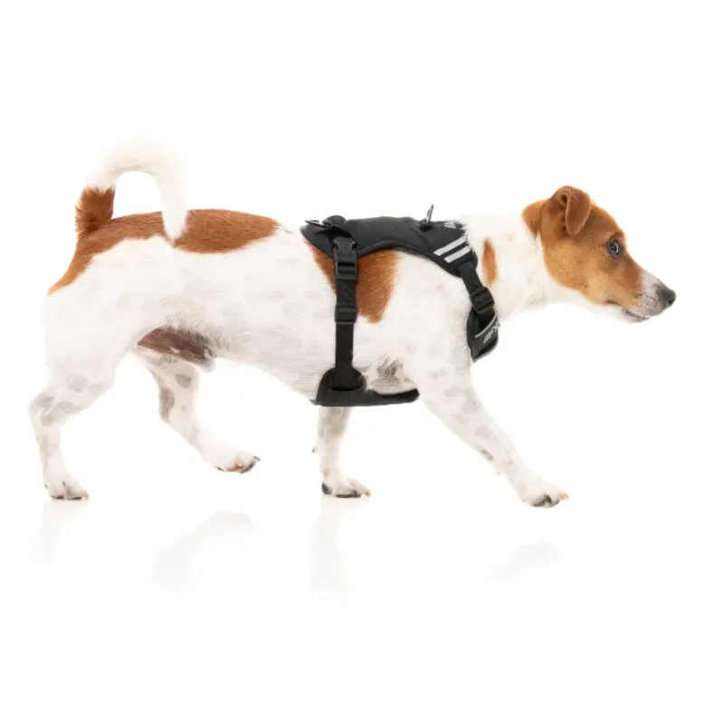 FY Active Go Harness - Black - L - img 4