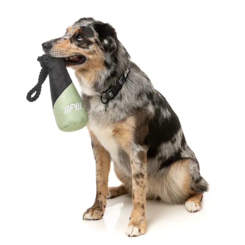 FY Active Dog Toy - Fetch N Float - Khaki - img 2