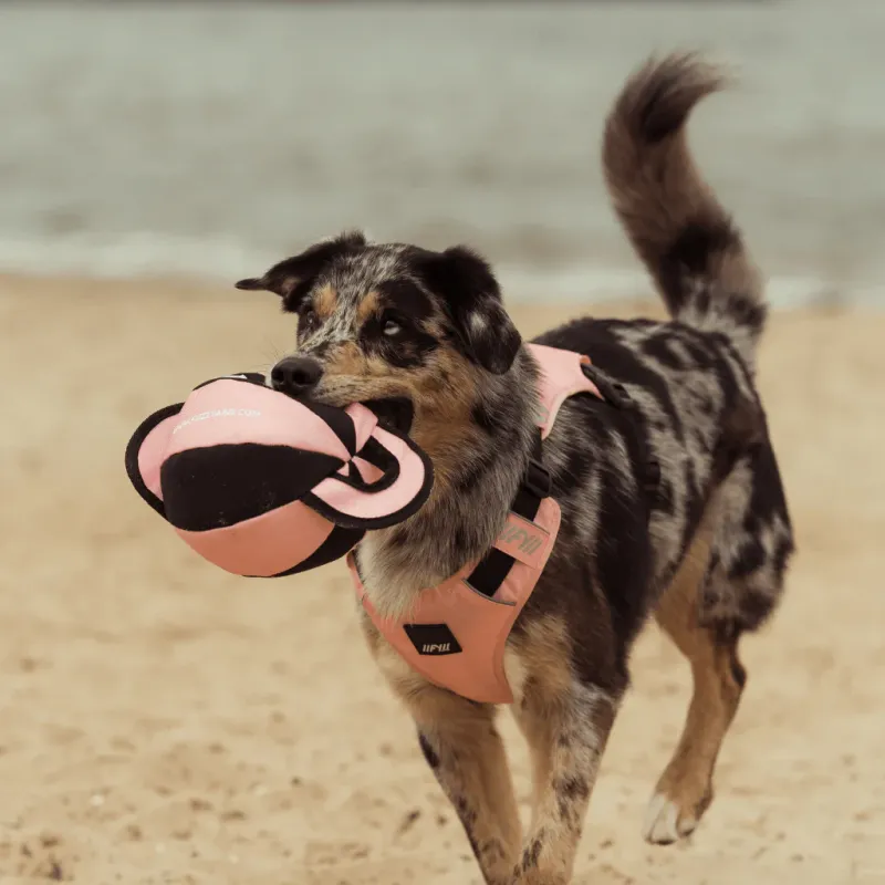 FY Active Dog Toy - Ball Tug - Peach - img 3