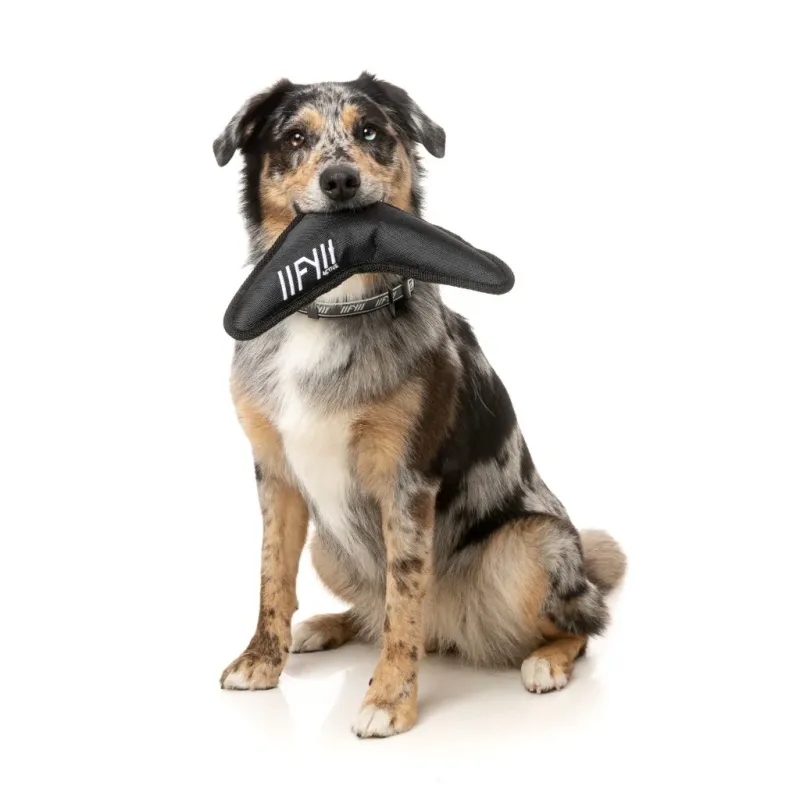 FY Active Dog Toy - Flyer - Black - img 2