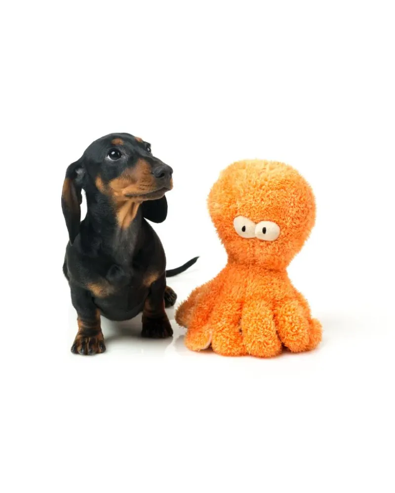 FuzzYard Toy - Nasties - Sir Legs A Lot The Octopus L - img 3