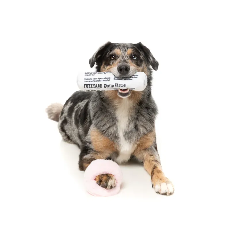 FuzzYard Toy - Perfect Match - Fetch My Slippers & Paper 2Pk - img 3