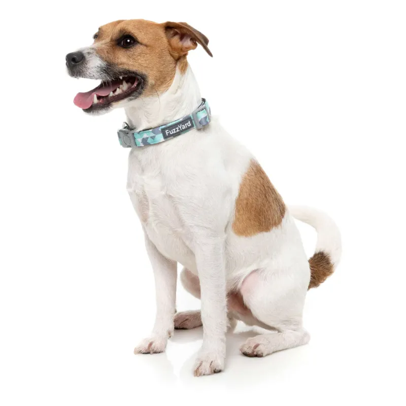 FuzzYard Dog Collar - Mint Fizz L - img 2