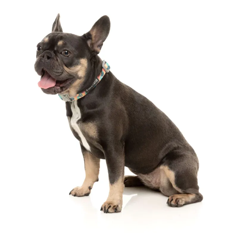FuzzYard Dog Collar - Carioca L - img 2
