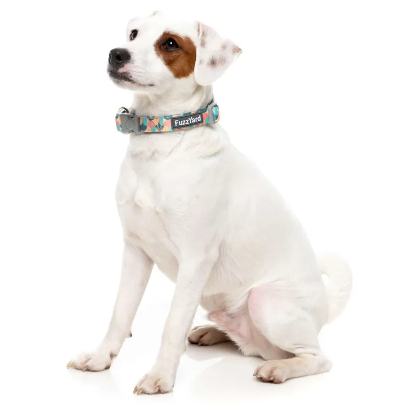 FuzzYard Dog Collar - Carioca L - img 3