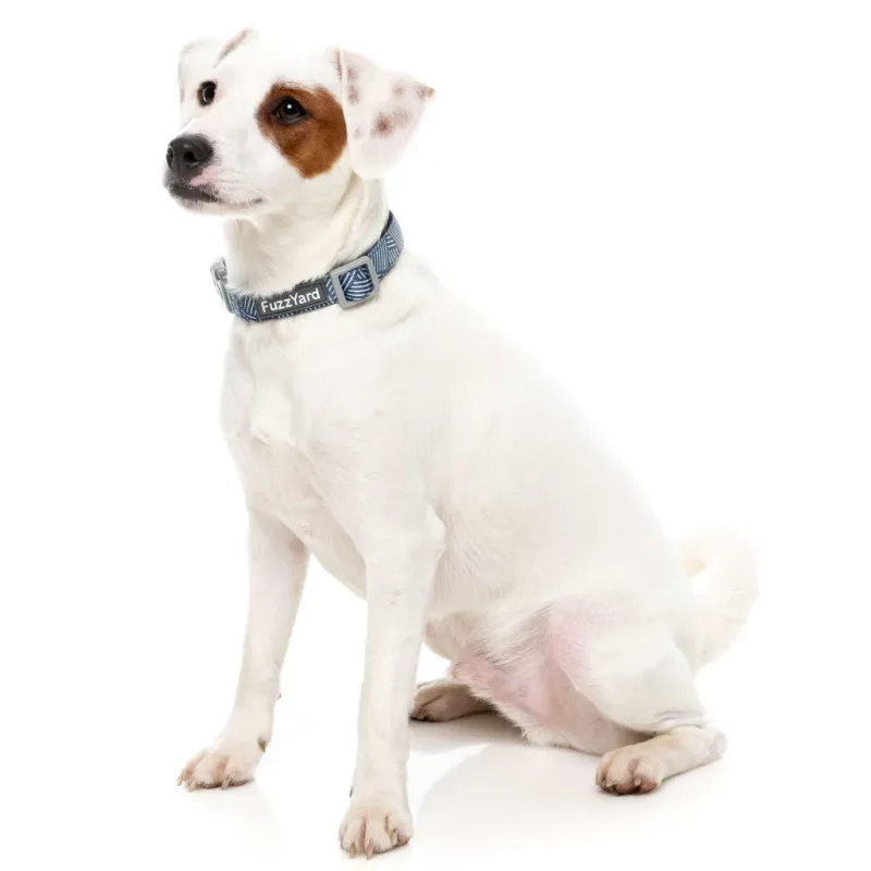 FuzzYard Dog Collar - Thornbury - Aegean Blue L - img 2