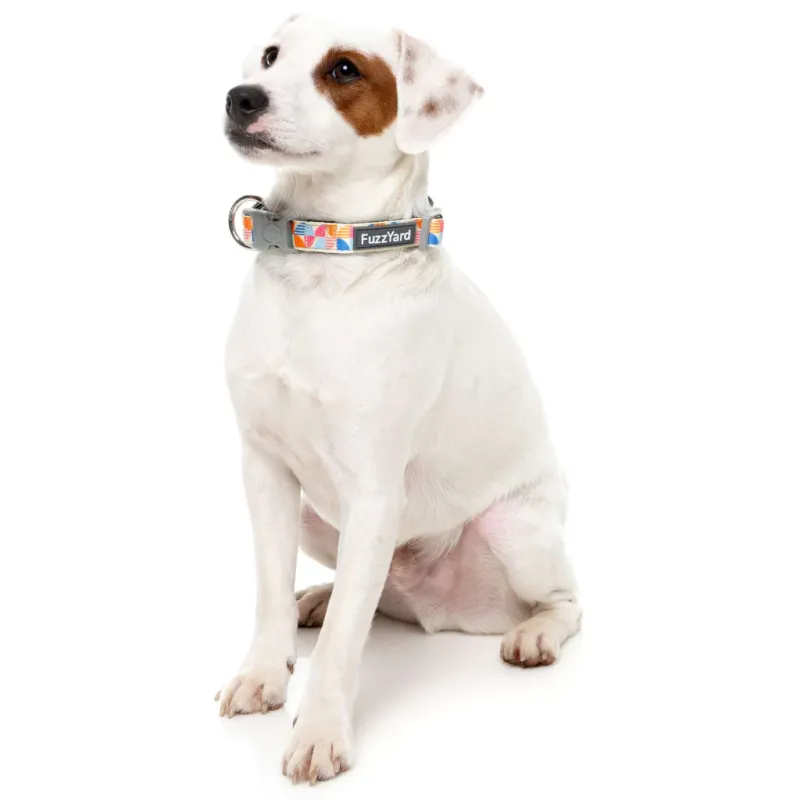 FuzzYard Dog Collar - Fresh Zest S - img 2