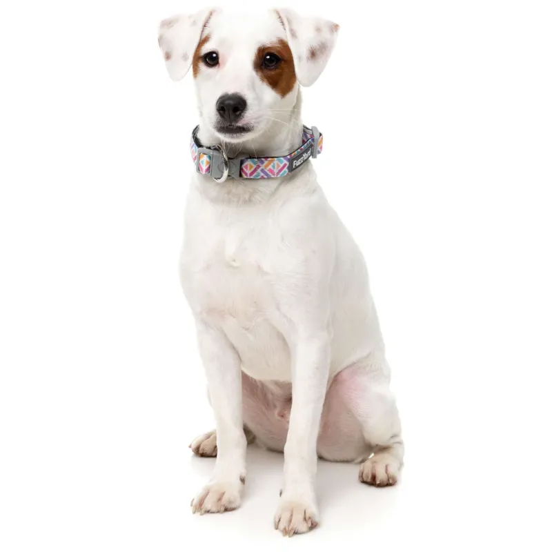 FuzzYard Dog Collar - Bubblegum Burst S - img 2