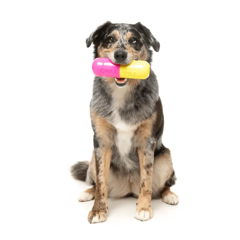 FuzzYard Interactive Chew Toy - Chill Pill - img 2