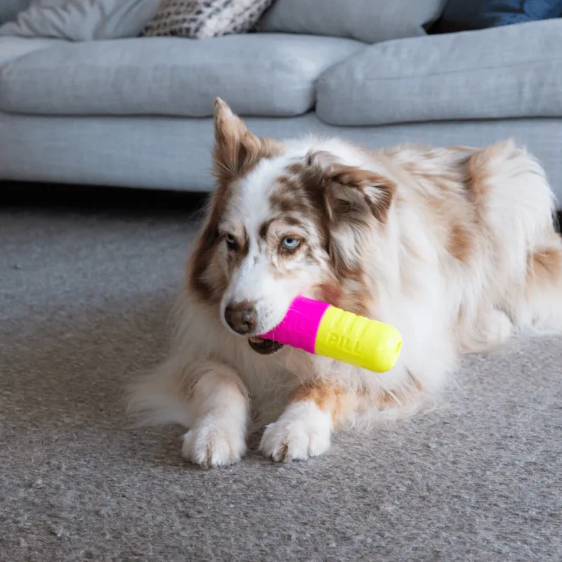 FuzzYard Interactive Chew Toy - Chill Pill - img 3