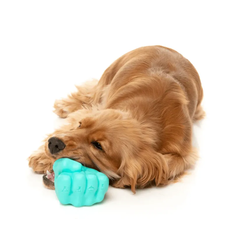 FuzzYard Interactive Chew Toy - Knuckle Sandwich - img 3