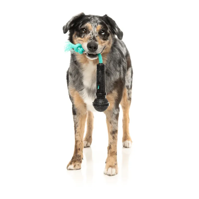 FuzzYard Interactive Chew Toy - Mic Drop - img 3