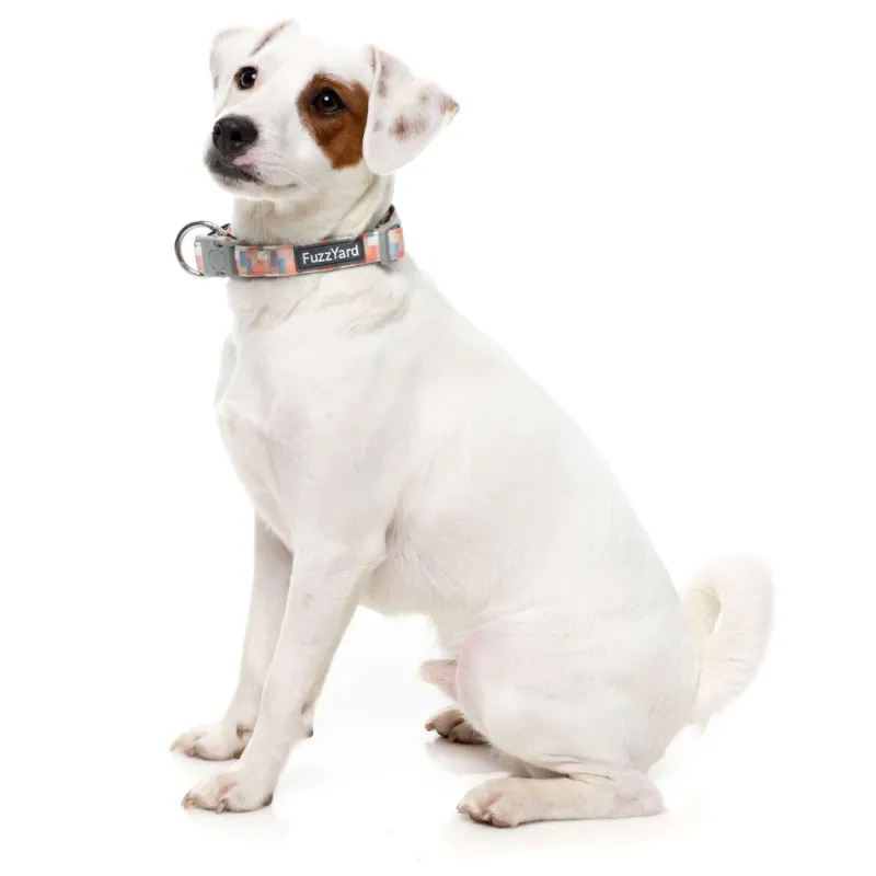 FuzzYard Dog Collar - Yazd S - img 2