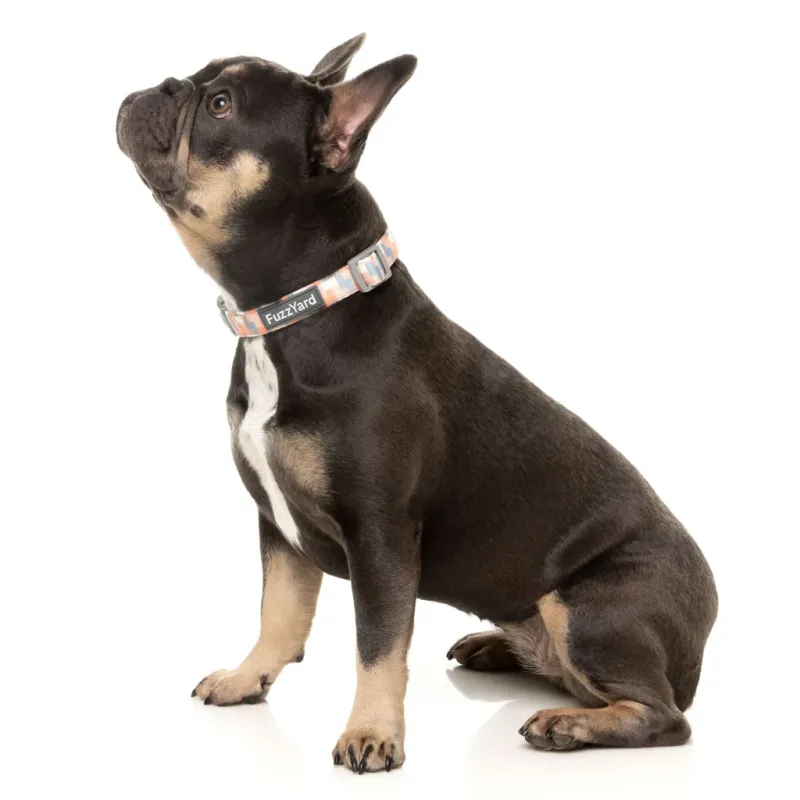 FuzzYard Dog Collar - Yazd L - img 3