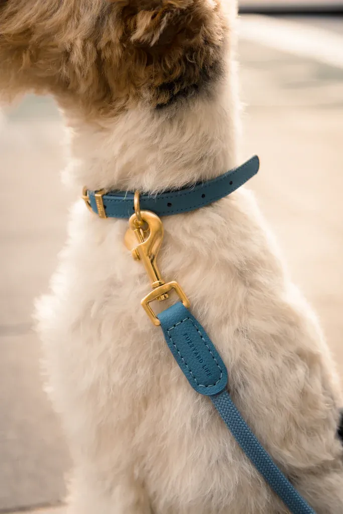 FuzzYard LIFE Atelier Dog Lead - French Blue L - img 3
