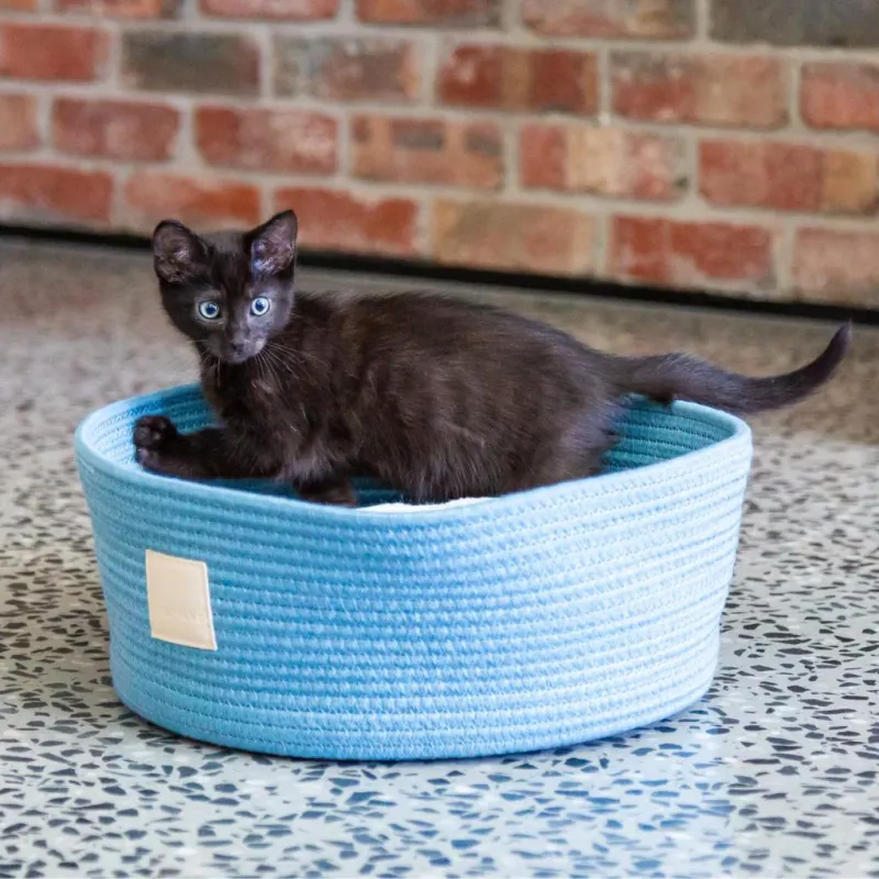FuzzYard LIFE Rope Basket Bed - French Blue - img 2