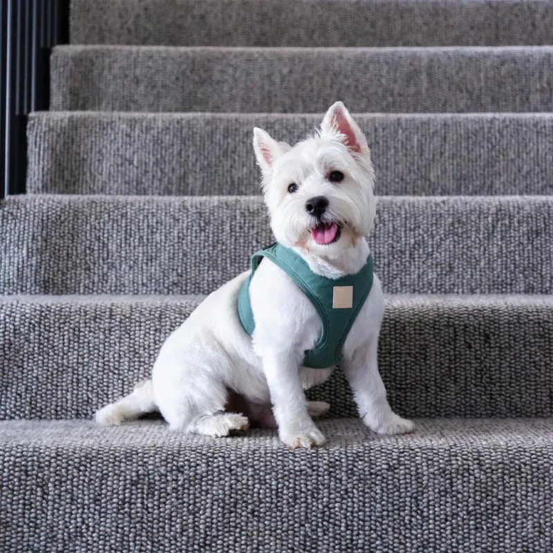 FuzzYard LIFE Cotton Step In Harness - Myrtle Green XXS - img 3