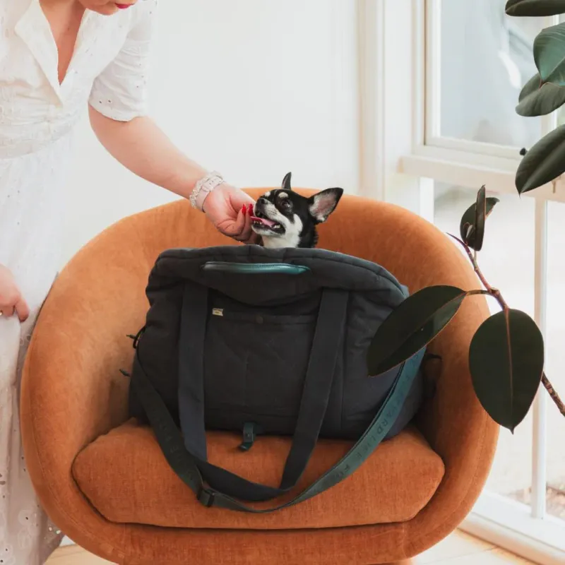FuzzYard Life Multipurpose Carrier & Car Seat - Slate Grey - img 3