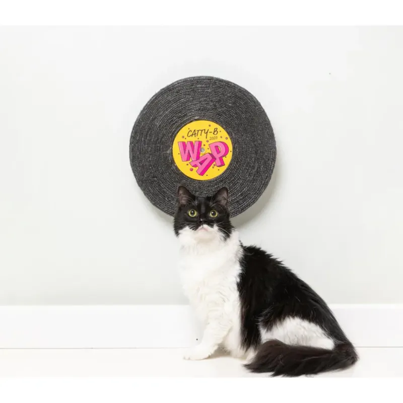 FuzzYard Record Cat Scratcher - Catty-B - img 2