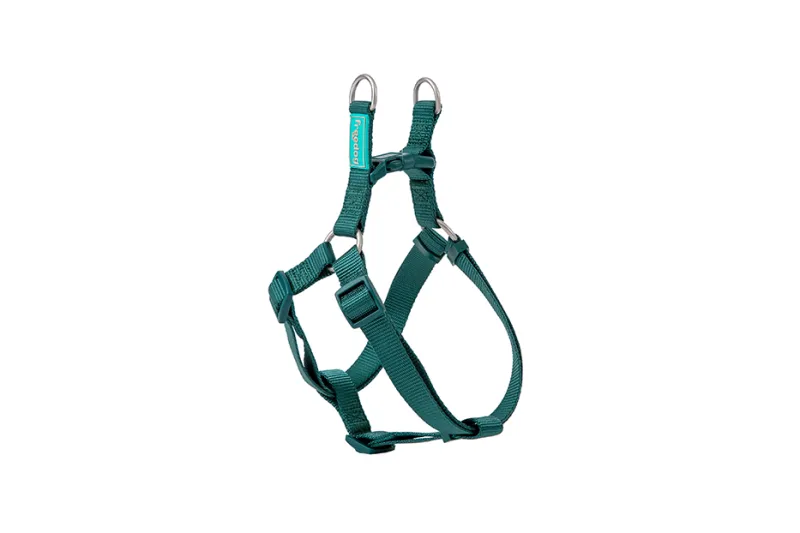 Am Nylon Basic tip A zeleni 0,8 × 15/30 cm - img 1
