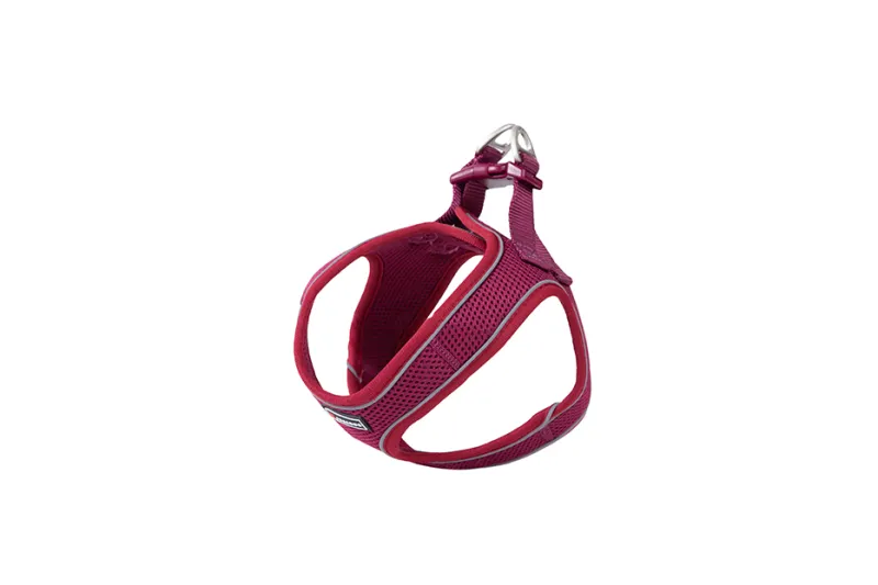 Am Soft bordo S 35–40 cm - img 1