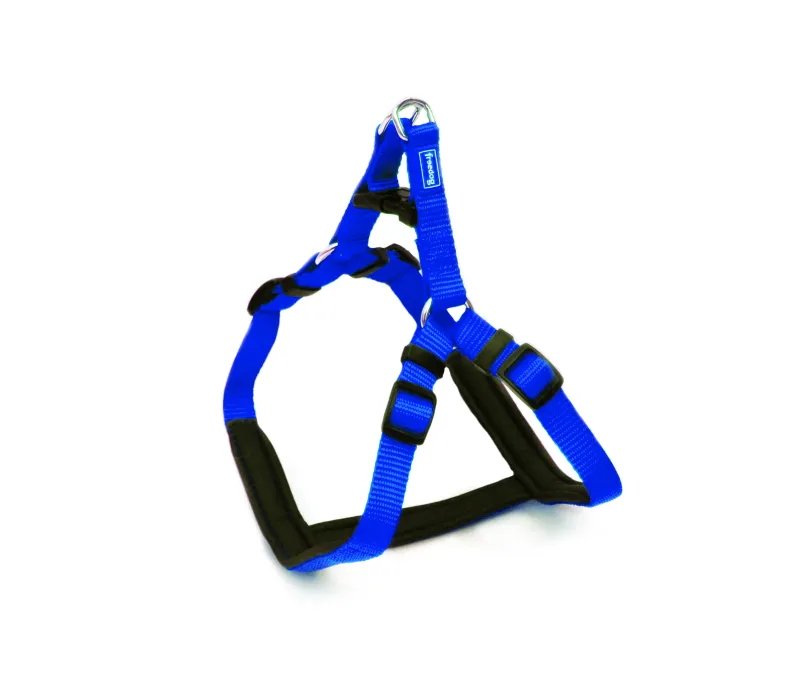 Am Ergo plavi 20 mm × 50/71 cm - img 1
