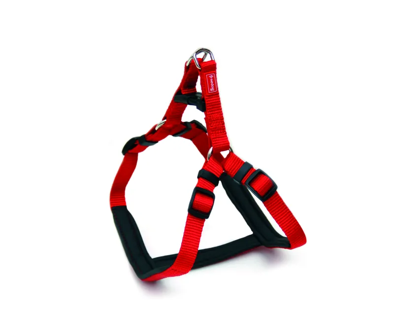 Am Ergo crveni 25 mm × 71/91 cm - img 1