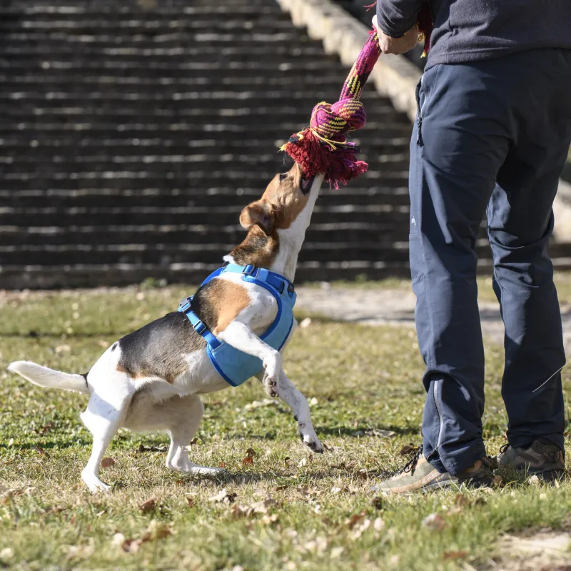 Am Cool Pro Tech plavi 15 mm × vrat: 32–48 cm pr… - img 2