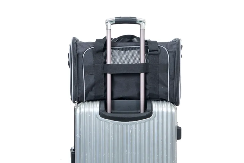 Transporter Orly crni 45 × 28 × 28 cm - img 2