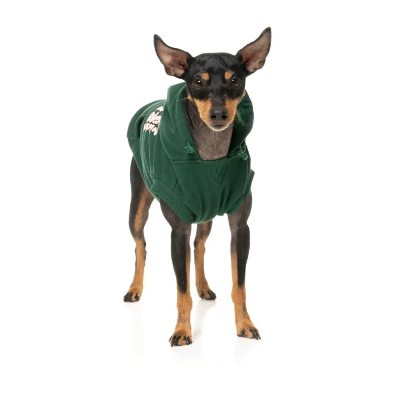 FuzzYard Hoodie - Treats - Green 2 - img 5