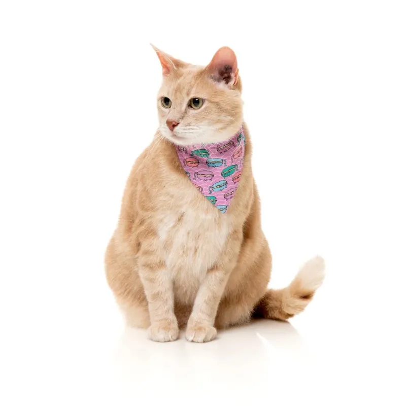 FuzzYard Cat Fashion Pack - Meowcarons - img 2