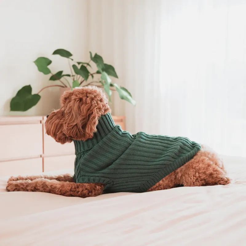 FuzzYard Life Knitted Sweater - Myrtle Green 6 - img 4