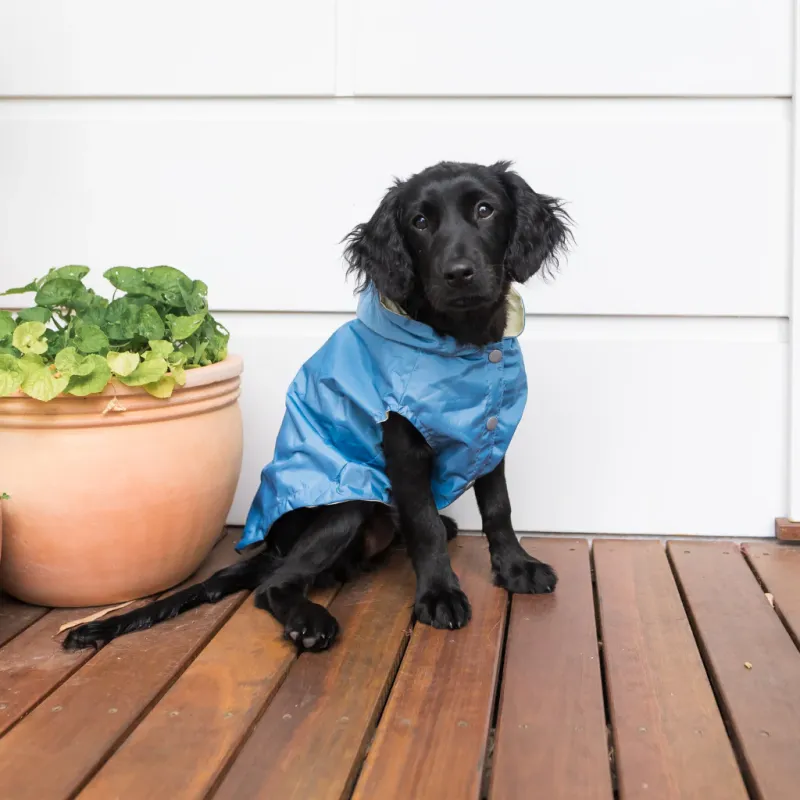 FuzzYard LIFE - Raincoat - French Blue 6 - img 3