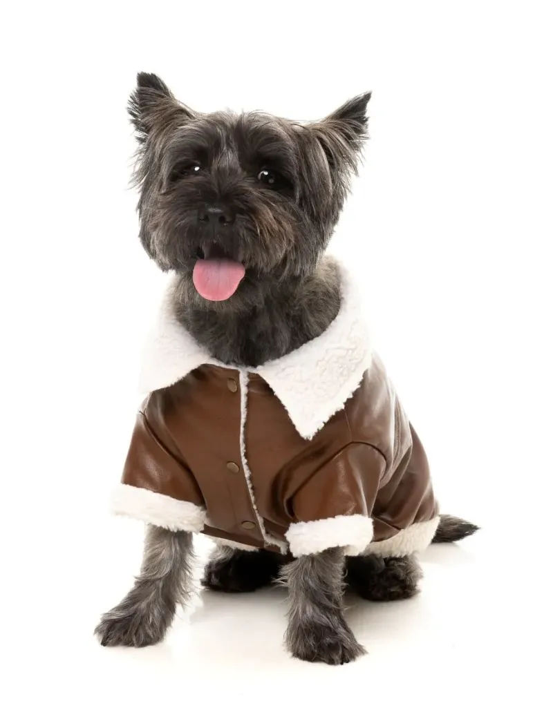 FuzzYard Jacket -  Ava - Brown 3 - img 3