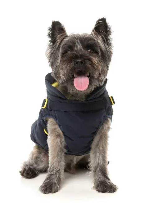 FuzzYard Jacket -  Horizon - Navy 1 - img 3
