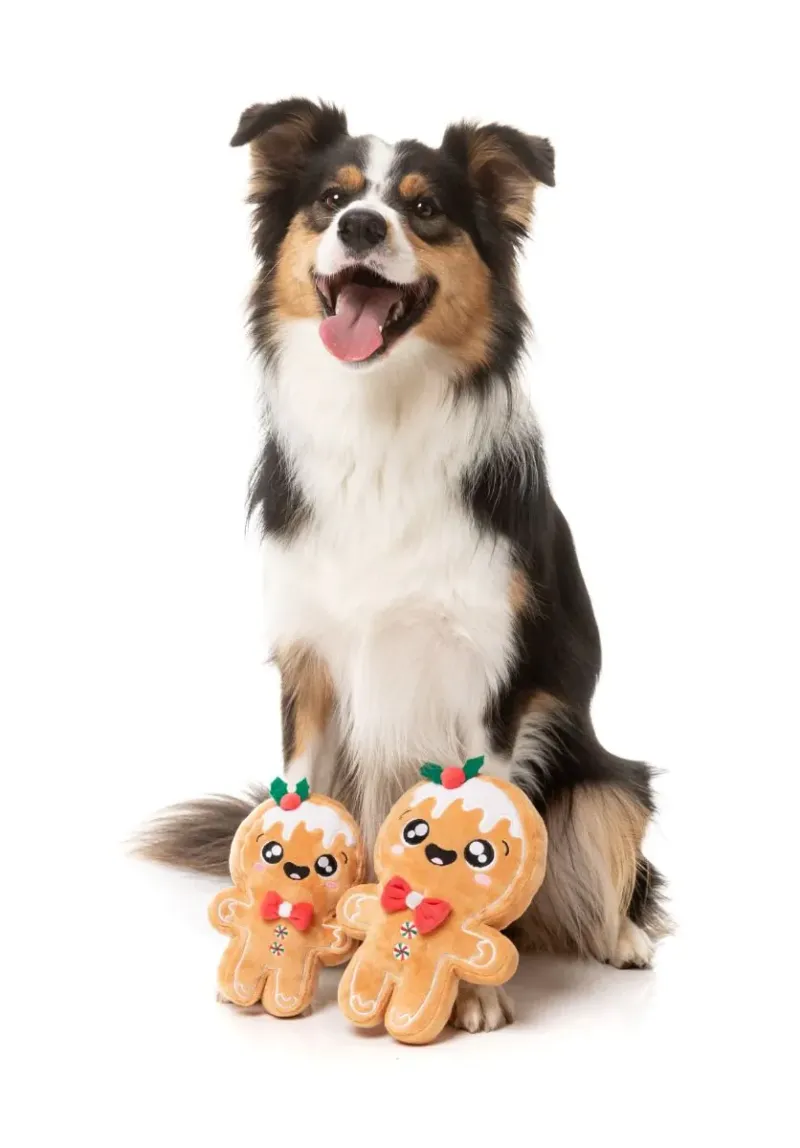 FuzzYard Xmas Toy - Mistle-Dough S - img 4
